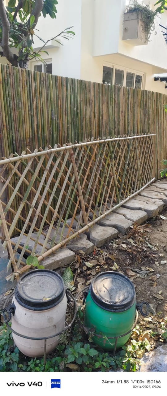 Bamboo fancing jafari